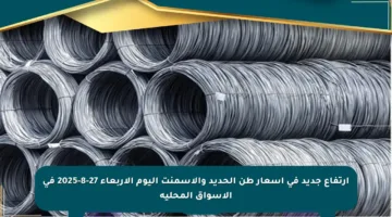 ارتفاع جديد في أسعار طن الحديد والأسمنت اليوم الأربعاء 27-8-2025 في الأسواق المحلية
